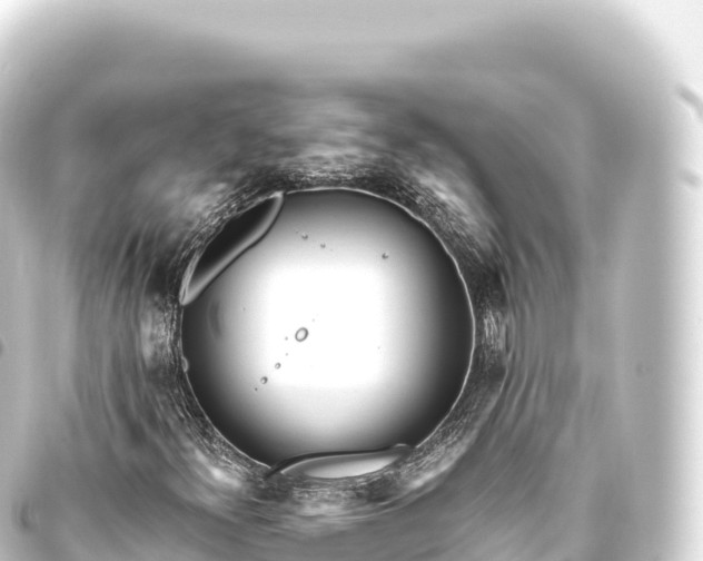 X0000093771300200710301157