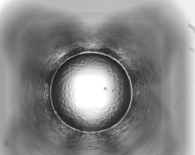 X0000093771301200710301157