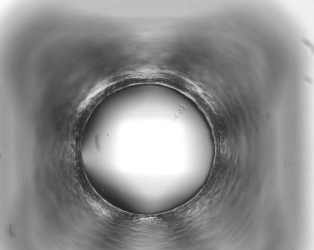 X0000093771304200710301157