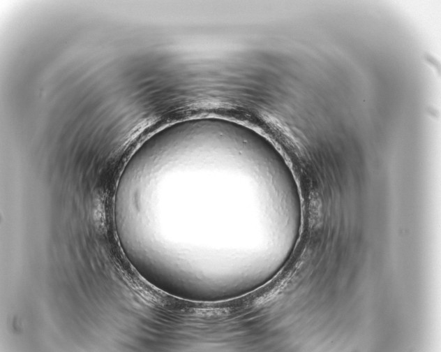 X0000093771305200710301157