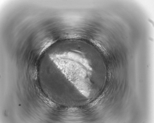 X0000093771306200710301157