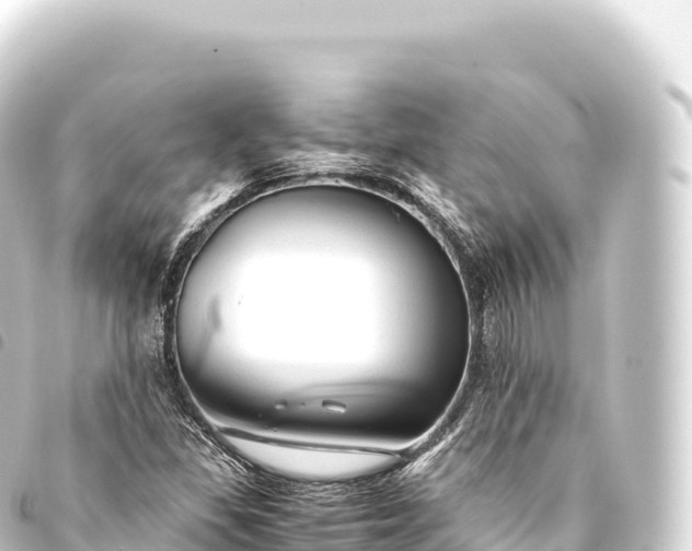 X0000093771309200710301157