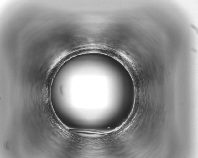 X0000093771310200710301157