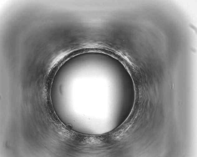 X0000093771311200710301157