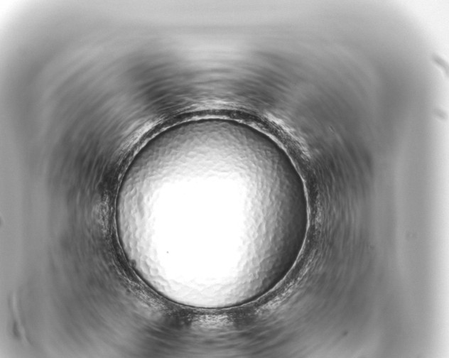 X0000093771313200710301157