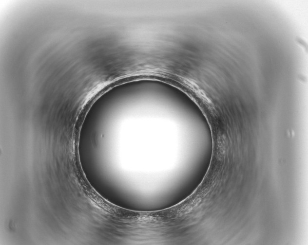 X0000093771316200710301157