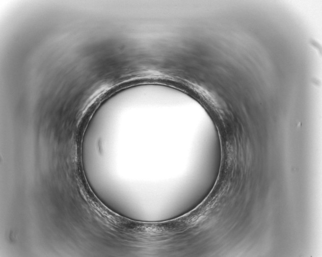 X0000093771318200710301157