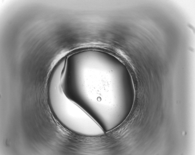 X0000093771320200710301157