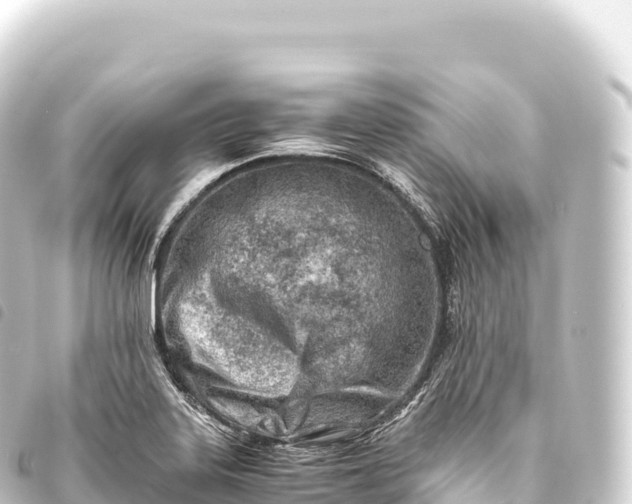 X0000093771323200710301157