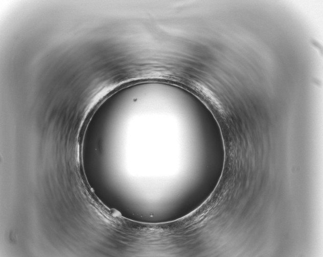 X0000093771324200710301157