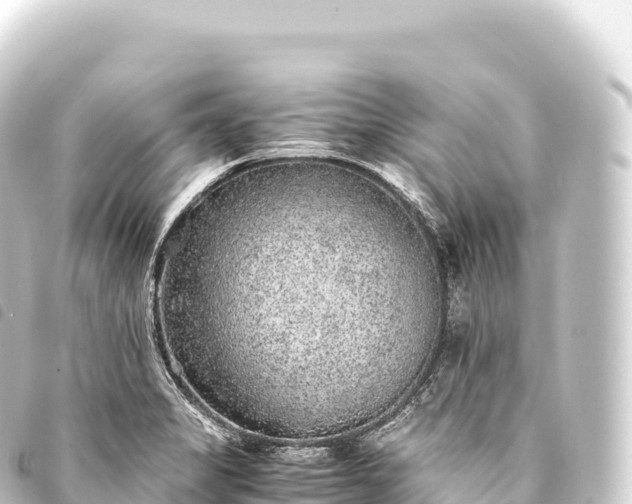 X0000093771325200710301157