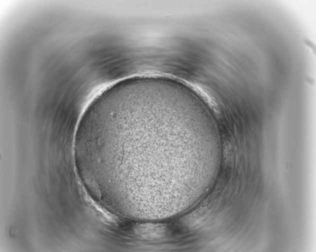 X0000093771327200710301157