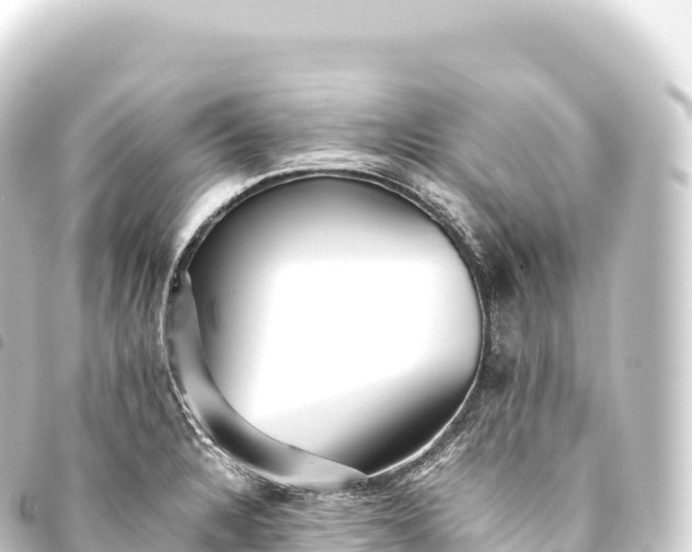 X0000093771328200710301157