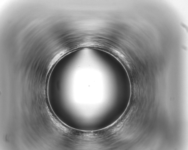 X0000093771330200710301157