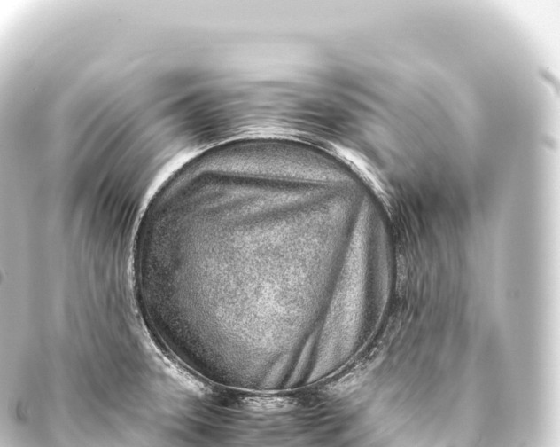 X0000093771331200710301157