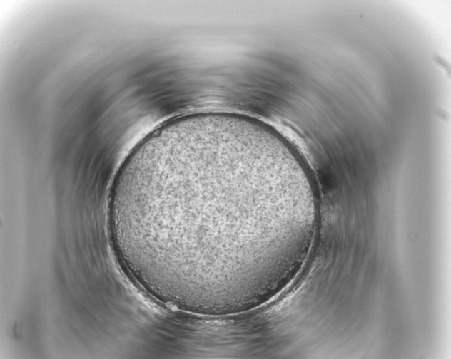 X0000093771333200710301157