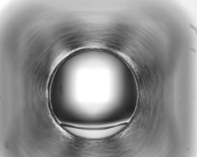 X0000093771335200710301157