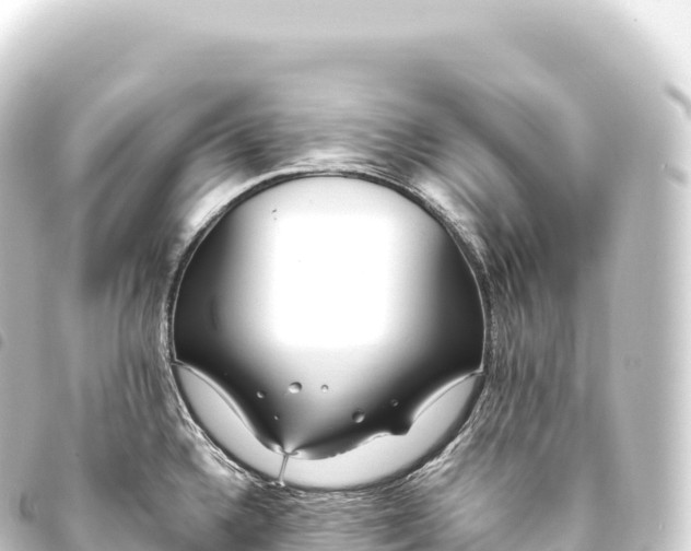 X0000093771336200710301157