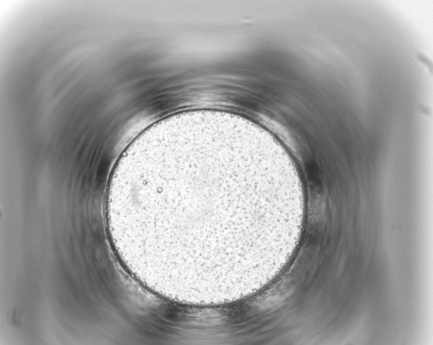 X0000093771338200710301157