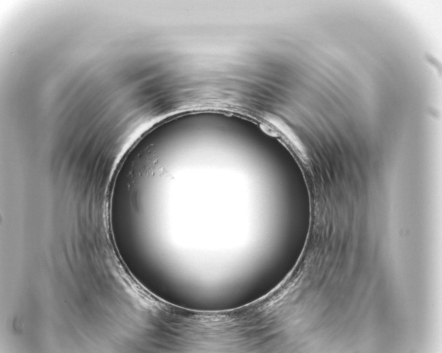 X0000093771340200710301157