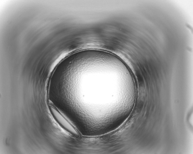 X0000093771341200710301157