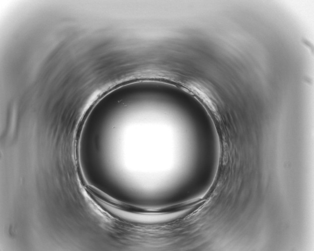 X0000093771342200710301157