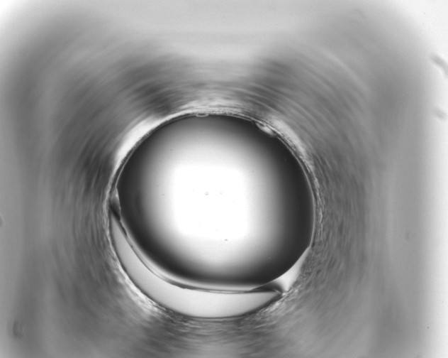 X0000093771344200710301157