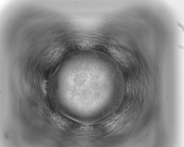 X0000093771346200710301157