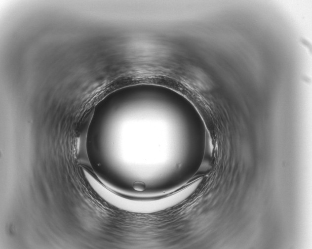 X0000093771348200710301157