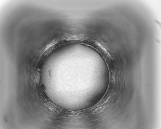 X0000093771350200710301157