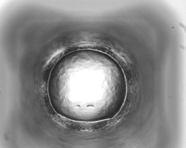 X0000093771351200710301157