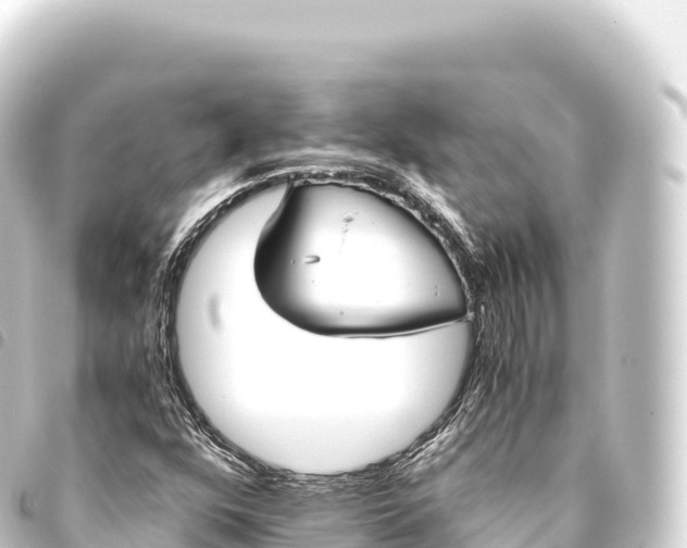 X0000093771352200710301157