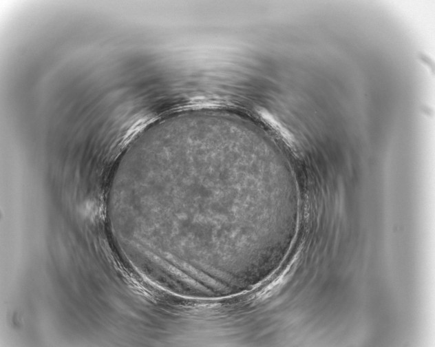 X0000093771353200710301157