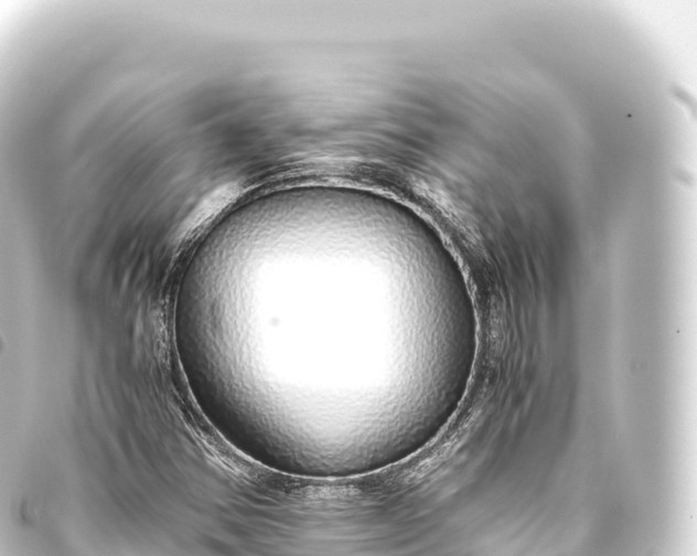 X0000093771354200710301157