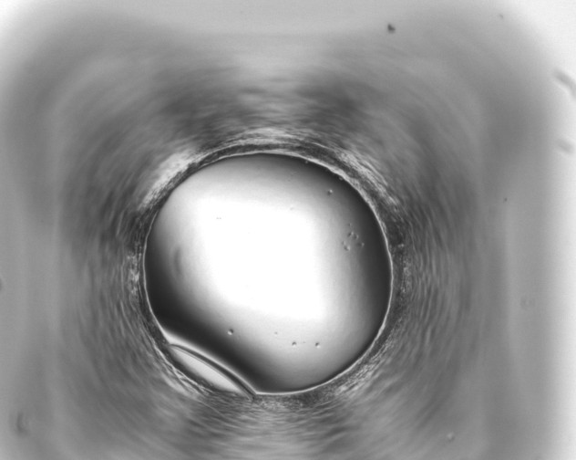 X0000093771355200710301157