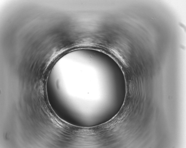 X0000093771356200710301157