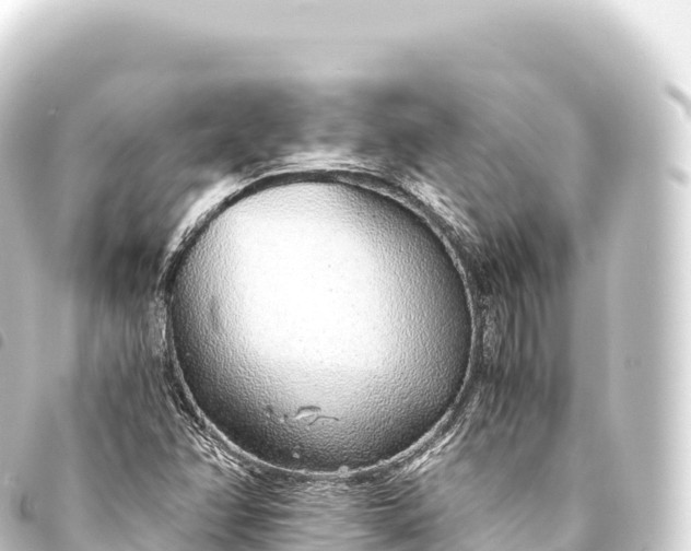 X0000093771358200710301157