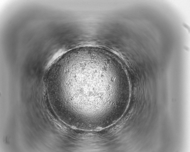 X0000093771359200710301157