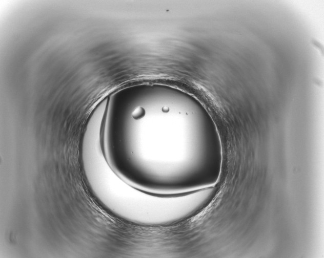 X0000093771361200710301157