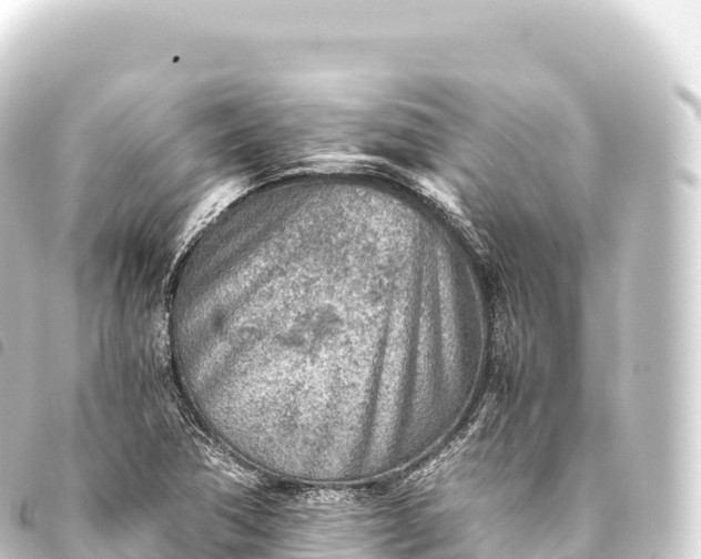 X0000093771362200710301157