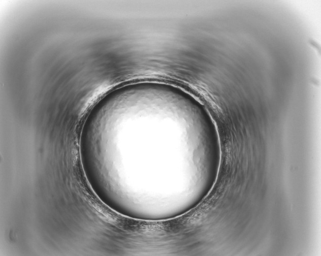 X0000093771363200710301157