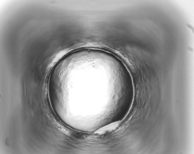 X0000093771367200710301156