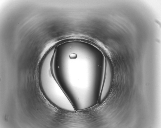 X0000093771368200710301156