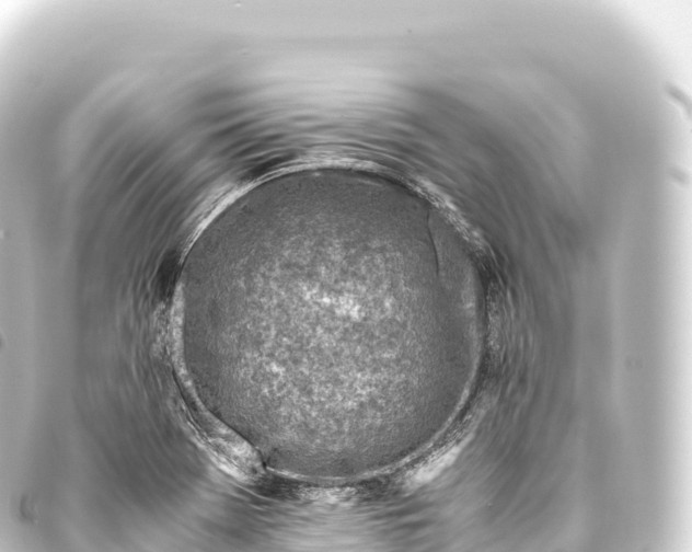 X0000093771369200710301156