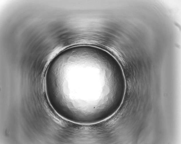 X0000093771371200710301156