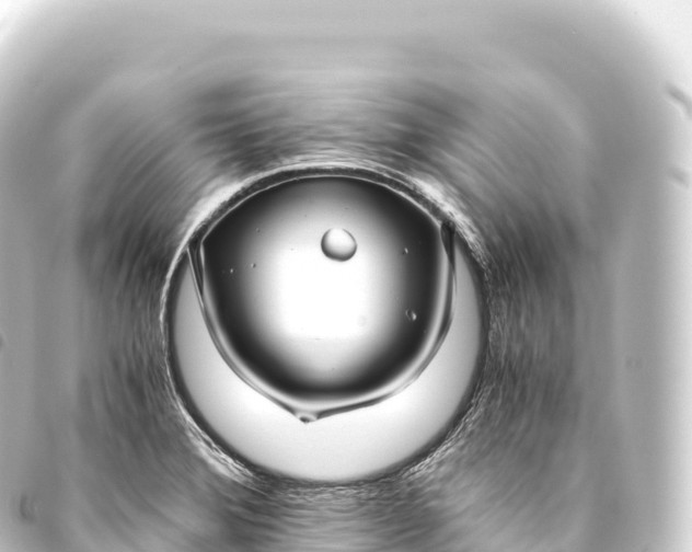 X0000093771372200710301156