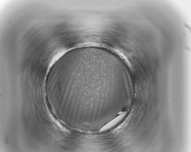 X0000093771373200710301156