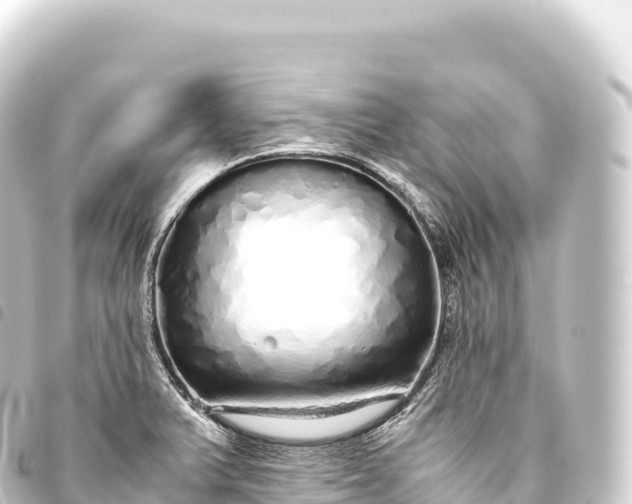 X0000093771375200710301156