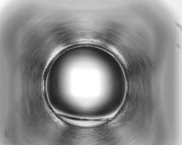 X0000093771376200710301156