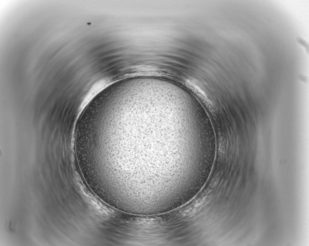 X0000093771378200710301156